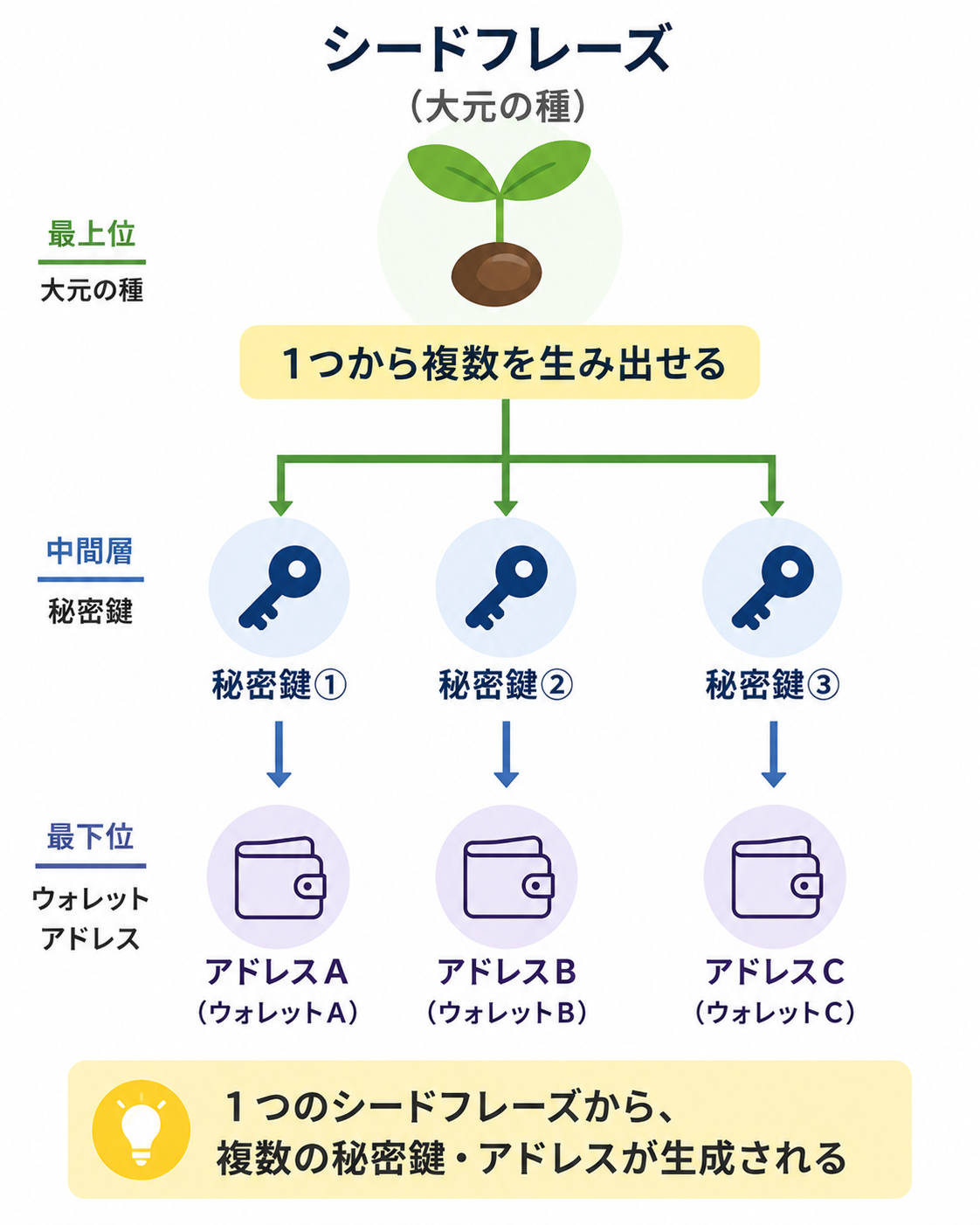 シードフレーズから秘密鍵、複数のウォレットアドレスが生まれる階層図